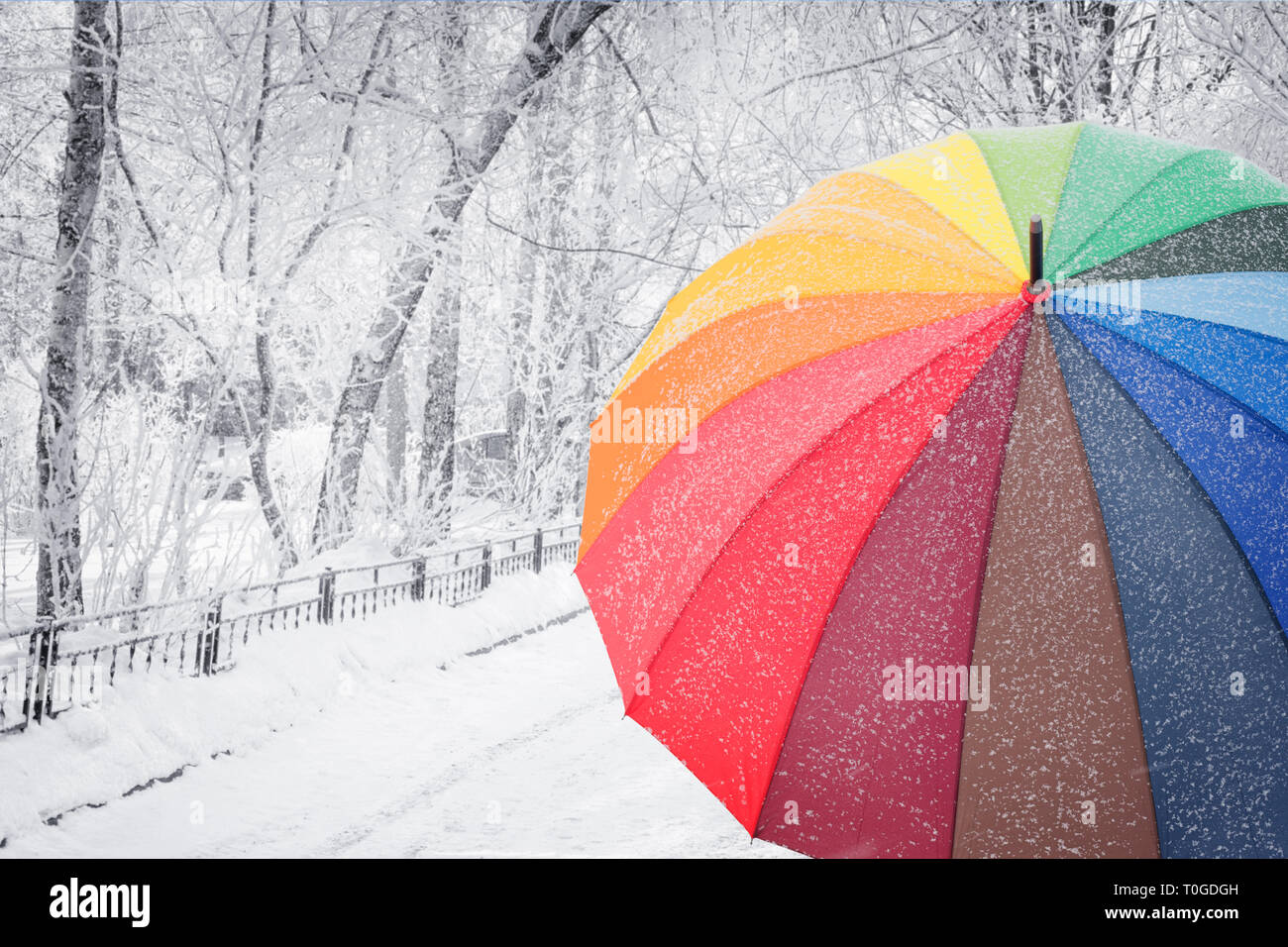 Parapluie de couleur arc-en-ciel sur la rue d'hiver. Image thème météo  Photo Stock - Alamy