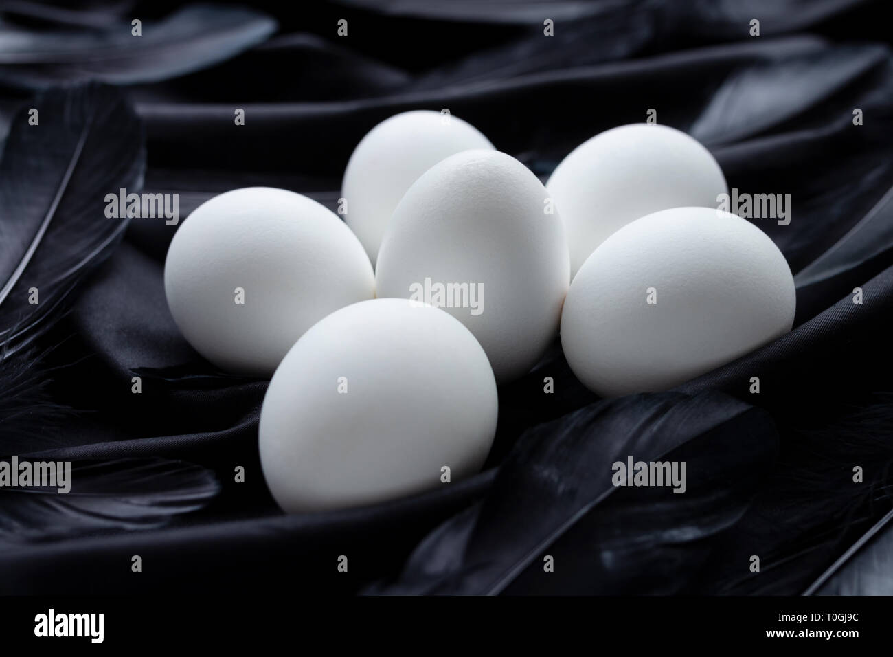 Groupe d'oeufs de Pâques blanc et plumes noires sur un fond soyeux noir Banque D'Images