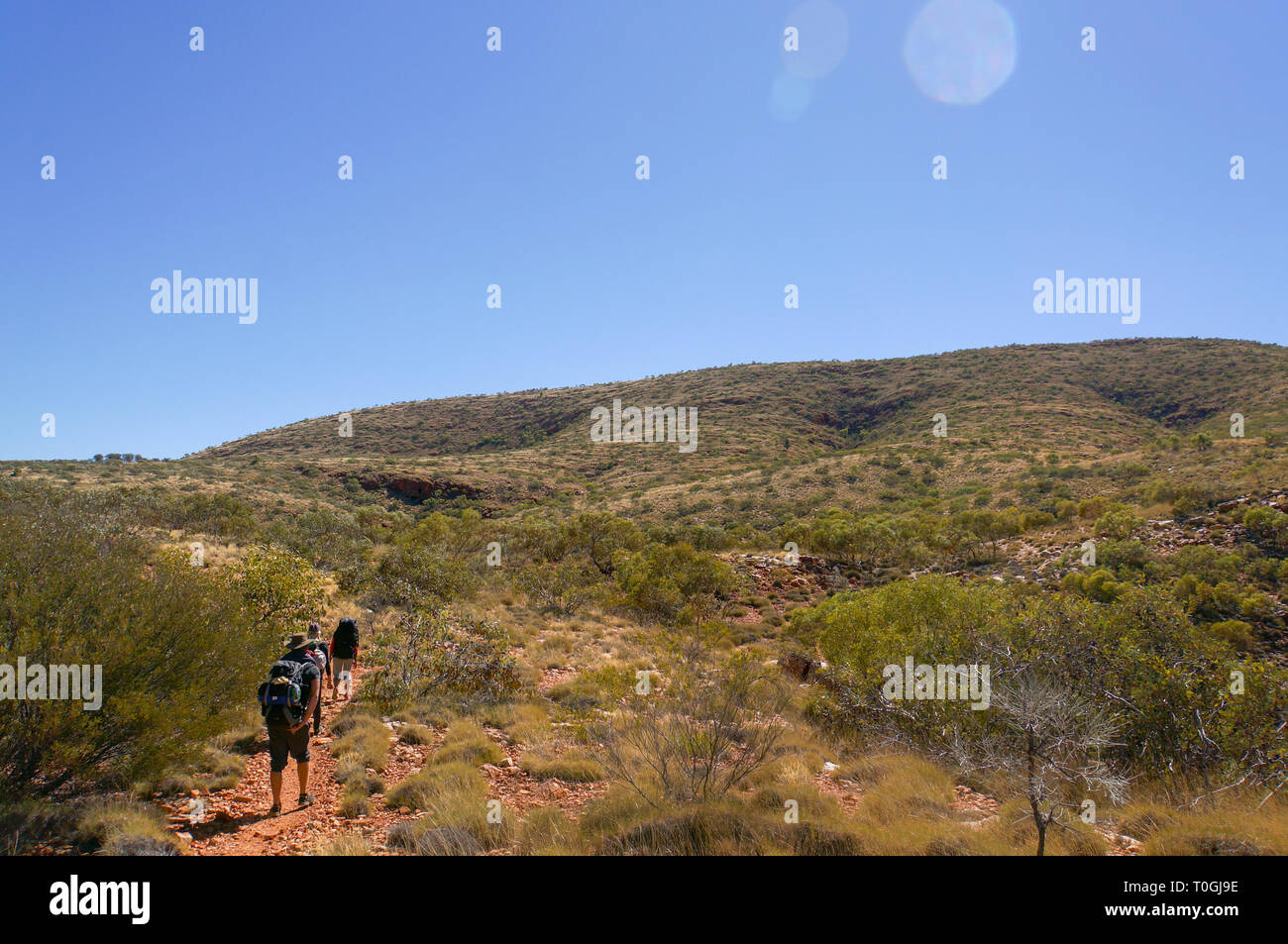 Randonneur au sommet du mont Gillen juste en dehors de Alice Springs en Australie centrale. Banque D'Images