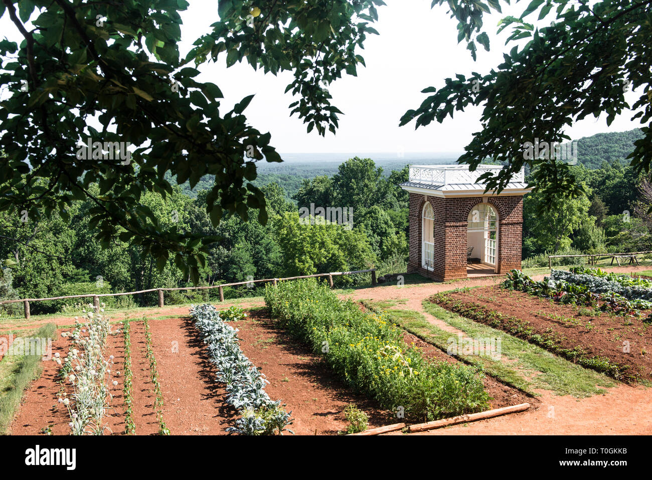 Monticello experimental de légumes et de fleurs jardin rangées et pavillon en brique encadrée par des branches d'arbre vert. Paysage paisible avec vue pas de personnes. Banque D'Images
