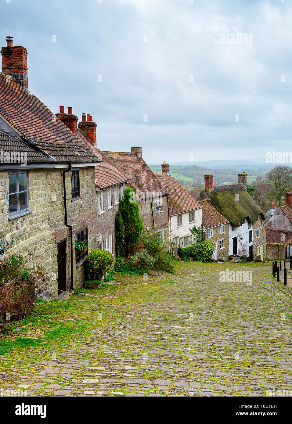 La colline d'or à Shaftsbury Dorset Angleterre Banque D'Images