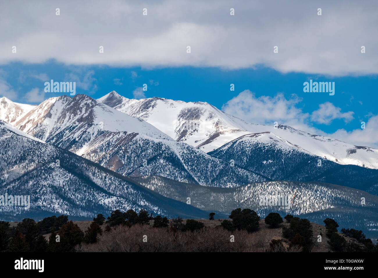 Sawatch Range couverts de neige ; Collegiate Peaks ; Rocheuses vu de l'Arkansas River Valley, Colorado, USA Banque D'Images