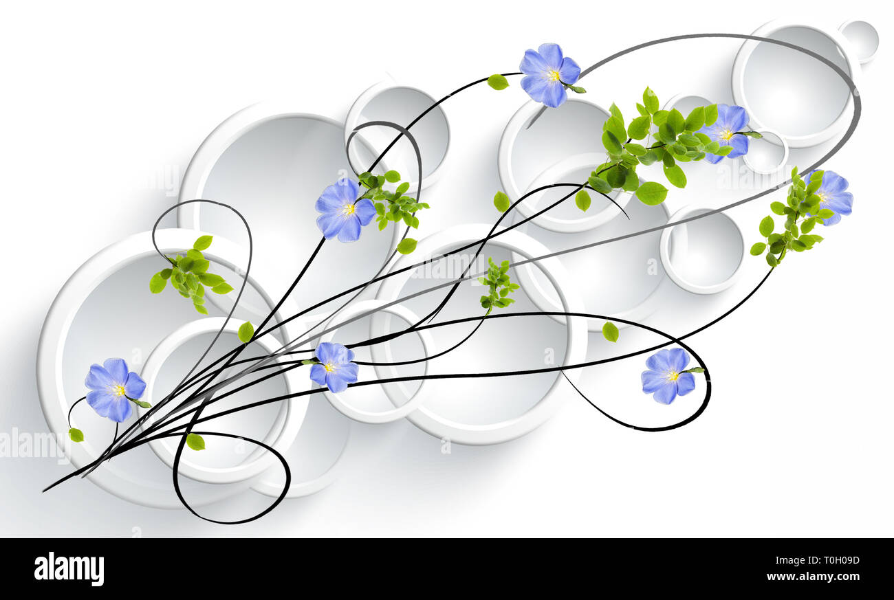 Conception graphique de ronds, convexes, les lentilles de verre sur un fond blanc. La conception originale de l'ornement, vigne avec wild rose feuilles Banque D'Images