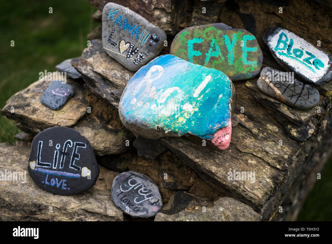 Des pierres peintes dans le comté de Cork, Irlande Banque D'Images
