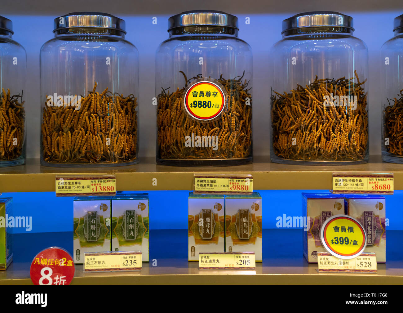 Caterpillar Fungus en vente dans une boutique, Kowloon, Hong Kong, Chine Banque D'Images