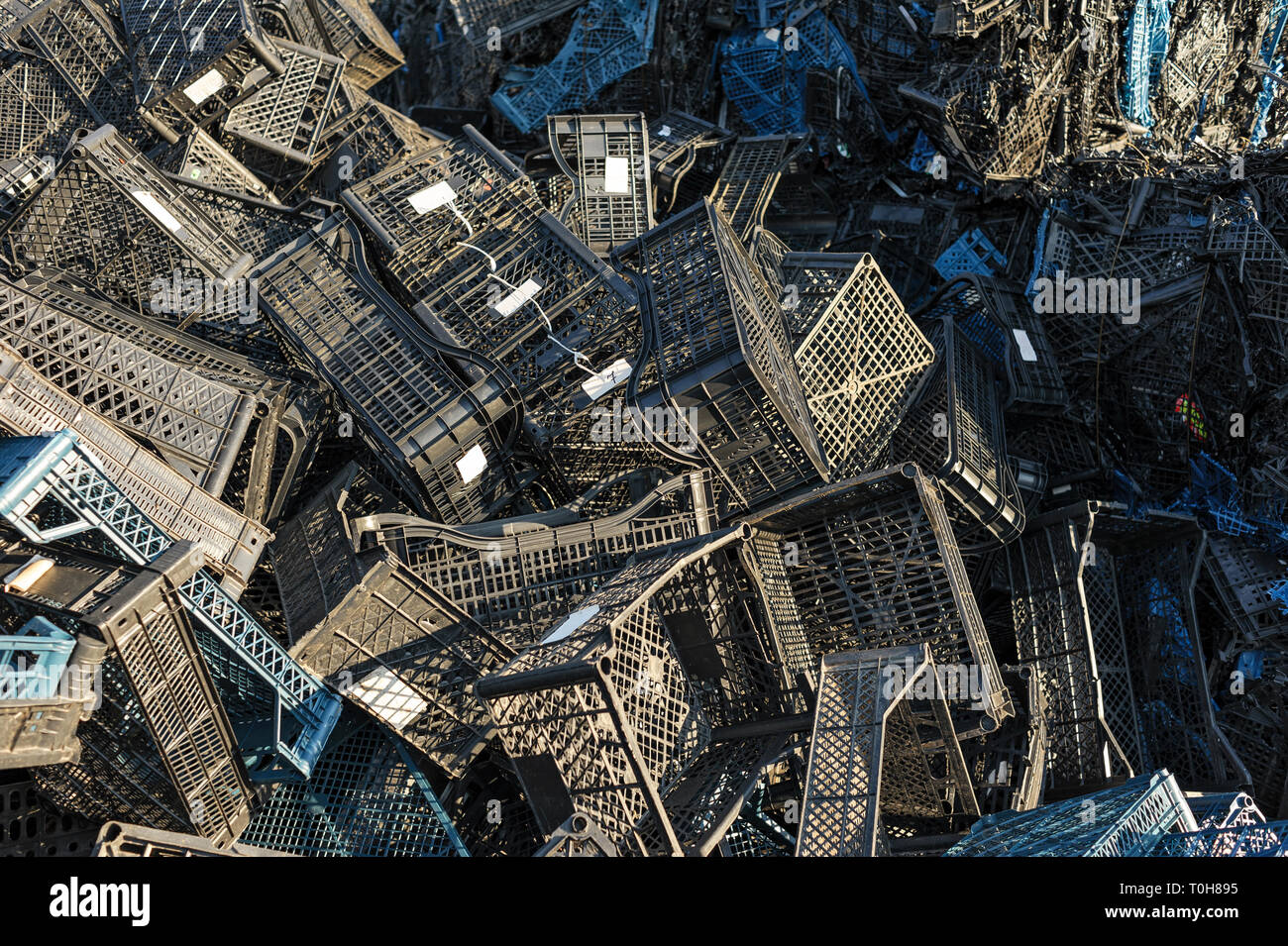 Caisses vides en plastique noir cartons entassés au dépotoir. Caisses en plastique utilisé à l'usine de recyclage des boîtes en attente d'un traitement ultérieur. Libre. Recycl Banque D'Images