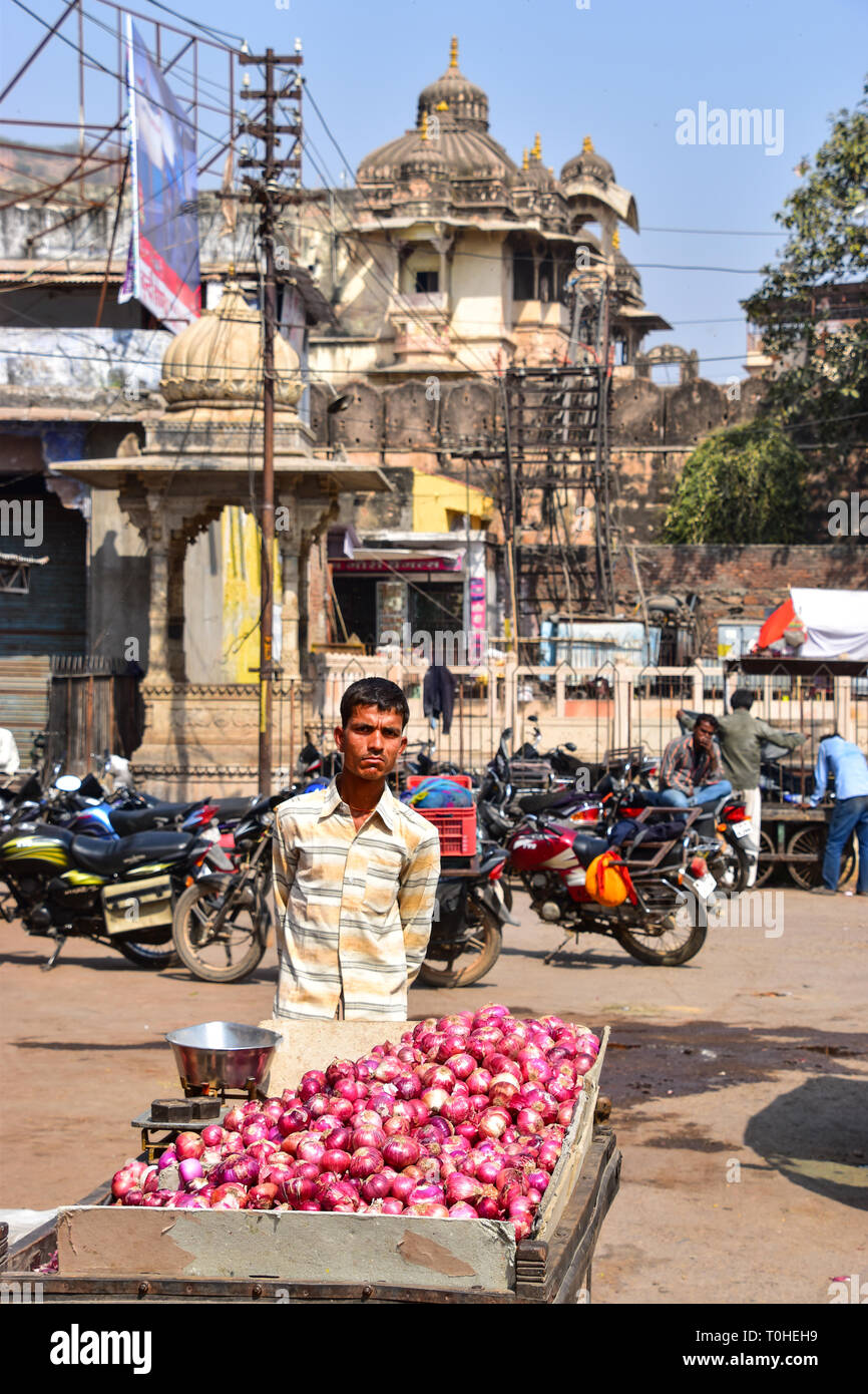 Oignon rouge, vendeur de rue, Bundi, Rajasthan, Inde Banque D'Images