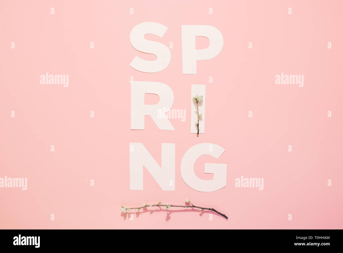 Mise en page créative avec l'inscription Printemps et branches en fleurs sur fond pastel. Miminimalism Banque D'Images