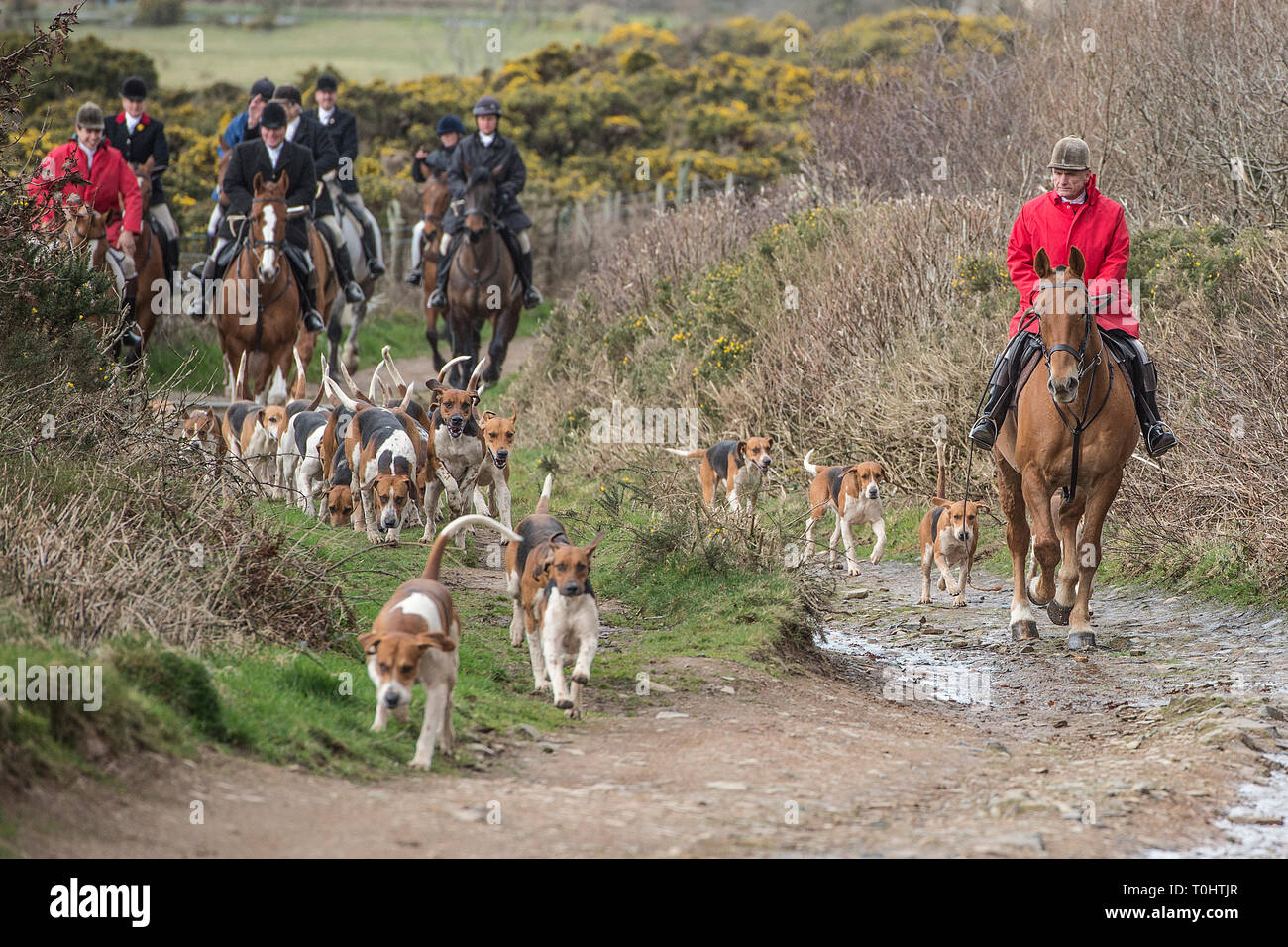 Chasseur et chiens Banque D'Images