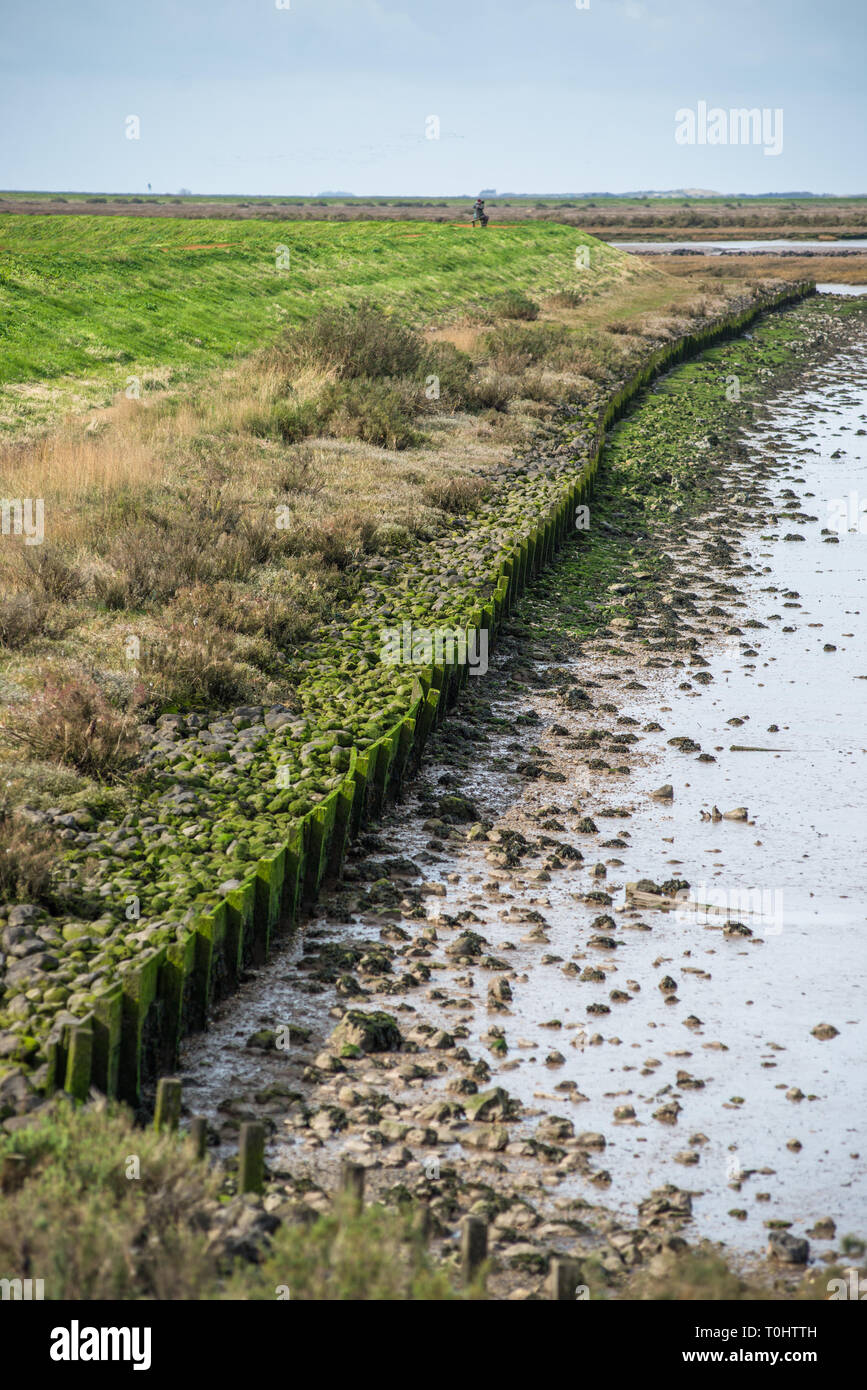 Vues de la Norfolk Coast Path Sentier National près de Barnham Overy Staithe, East Anglia, Angleterre, Royaume-Uni. Banque D'Images