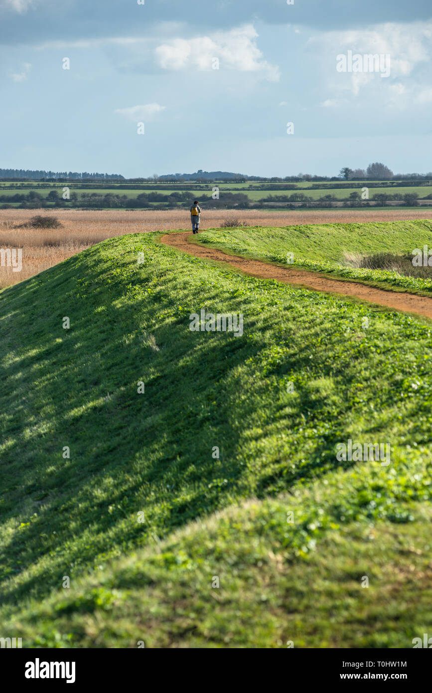 Vues de la Norfolk Coast Path Sentier National près de Barnham Overy Staithe, East Anglia, Angleterre, Royaume-Uni. Banque D'Images