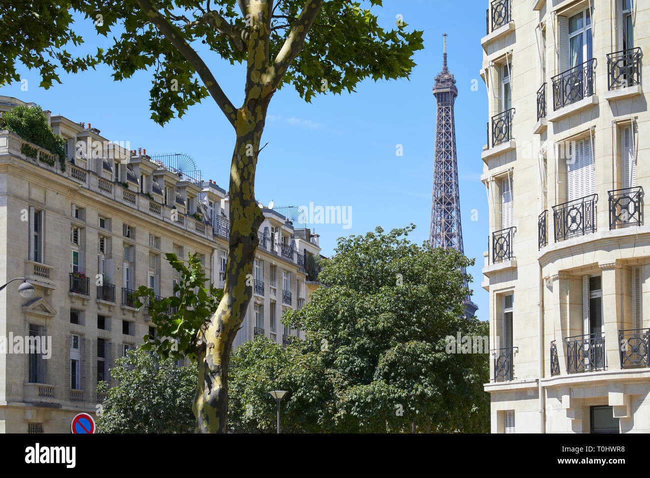 PARIS, FRANCE - 21 juillet 2017 : Tour Eiffel, Paris de bâtiments ou d'arbres dans une journée ensoleillée, ciel bleu clair Banque D'Images