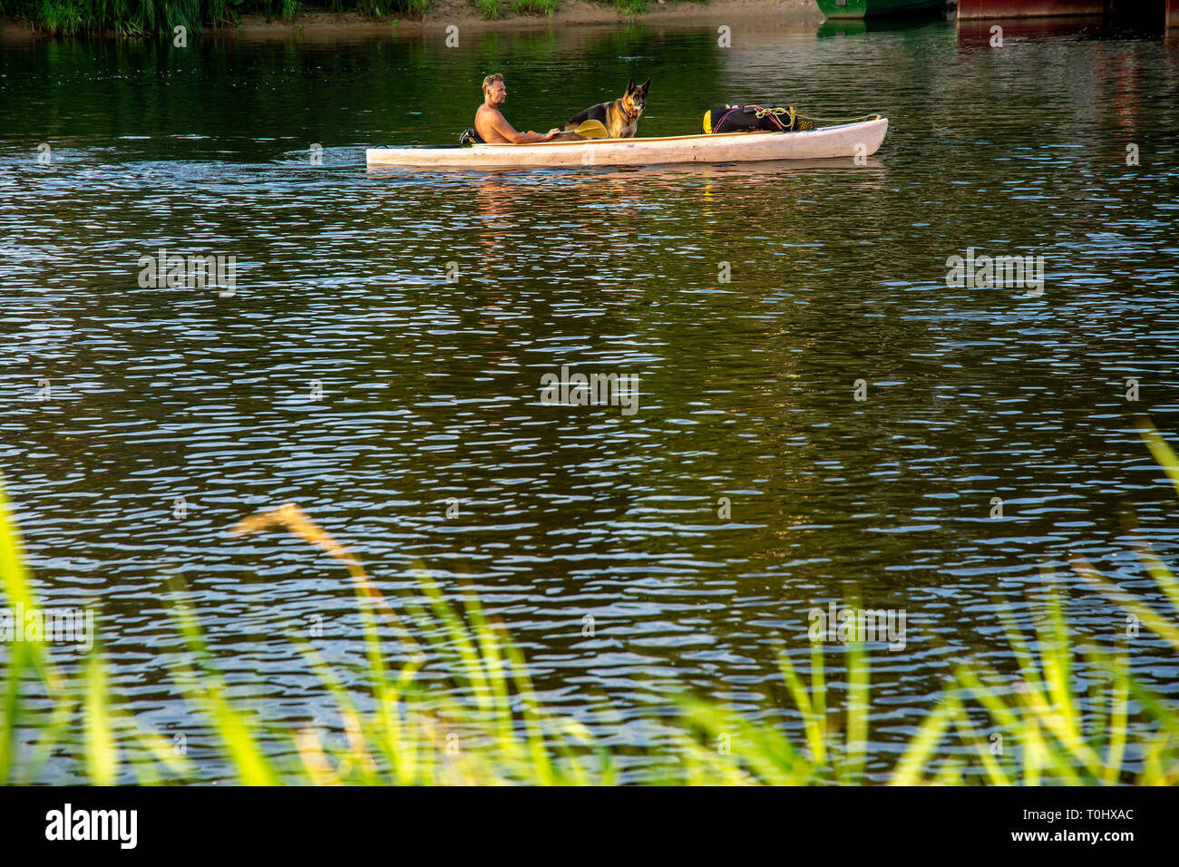 La navigation de plaisance avec chien. Chien en bateau. Les gens de bateau sur river en Lettonie Gauja, endroit calme nature scène. En bateau par la rivière. Excursion en bateau le long de l'Ancien hôtel de R Banque D'Images