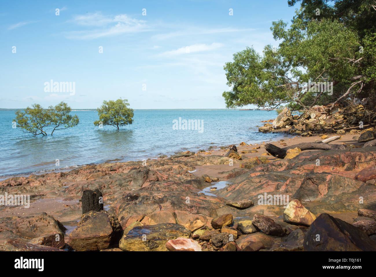 Verdure et Lameroo Beach à distance au Parc du Bicentenaire de Darwin, Australie Banque D'Images