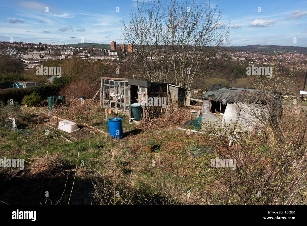 Une ancienne Alottment worksheds désaffecté avec ses toits en tôle ondulée dans une partie élevée de Sheffield offre une vue panoramique sur la ville Banque D'Images