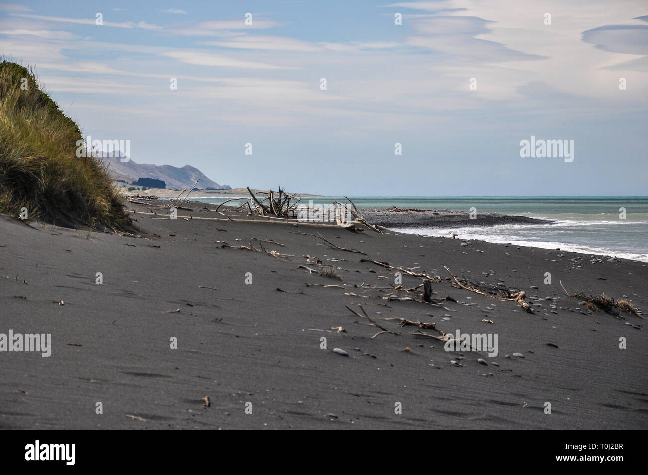 Plage de sable noir sur la côte est de l'île du sud de la Nouvelle-Zélande dans la région de Canterbury. Bois flotté blanchis échoués. Océan Pacifique Banque D'Images