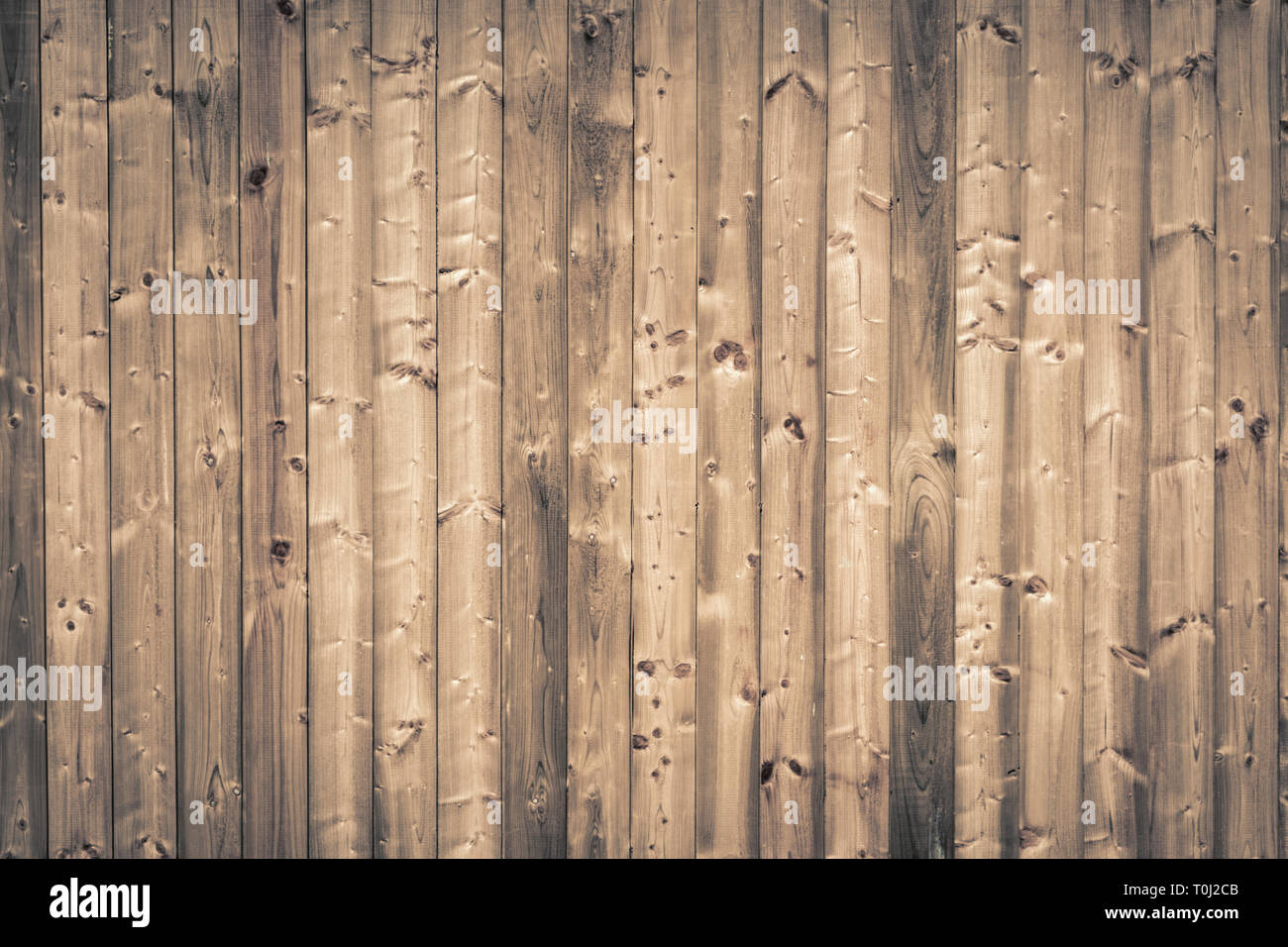 Planche en bois - planche en bois mur, bois de chêne Banque D'Images