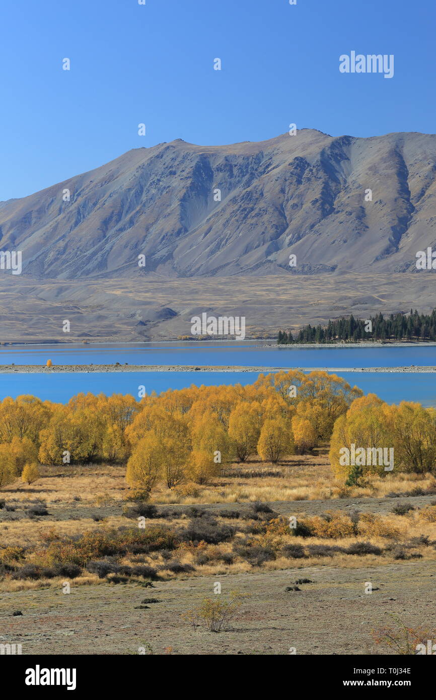 Le Lac Tekapo, Mackenzie Country, Canterbury, Nouvelle-Zélande Banque D'Images