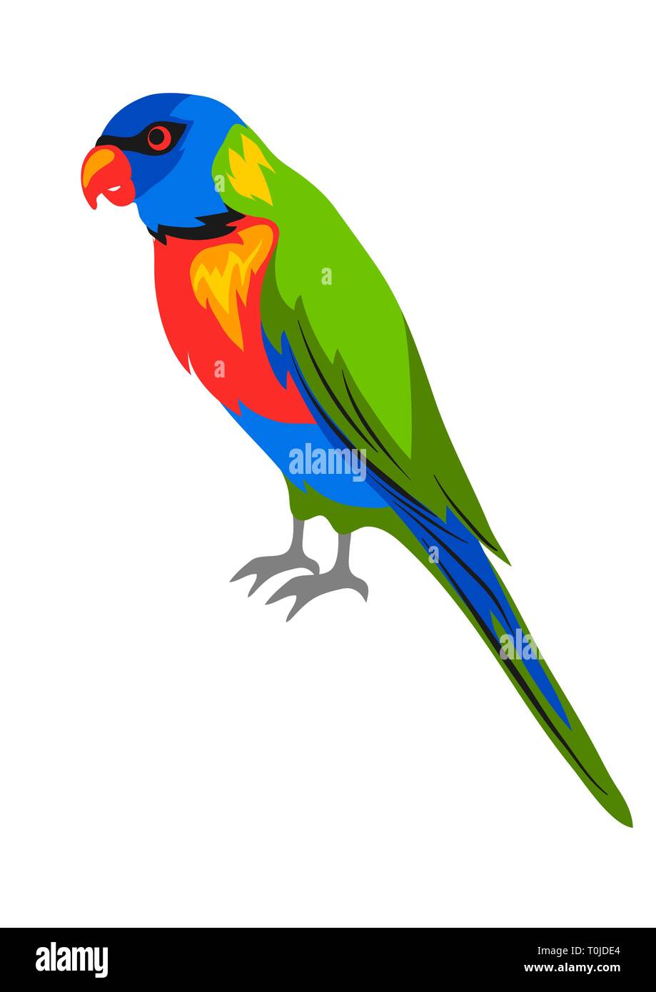 Illustration De La Rainbow Lorikeet Oiseau Exotique
