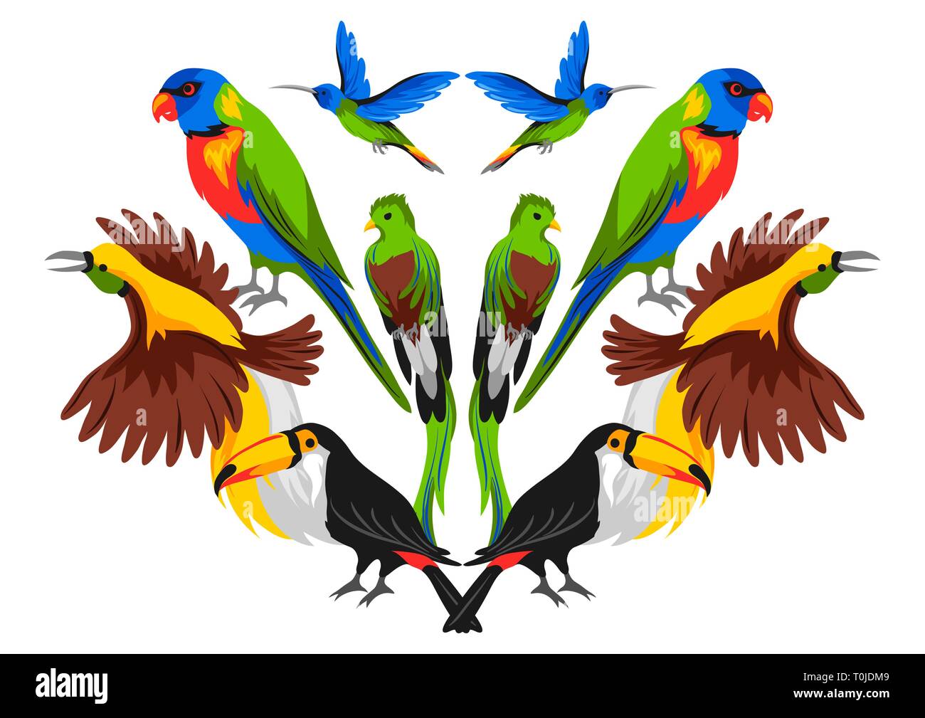 La conception d'impression avec les oiseaux exotiques. Illustration de Vecteur