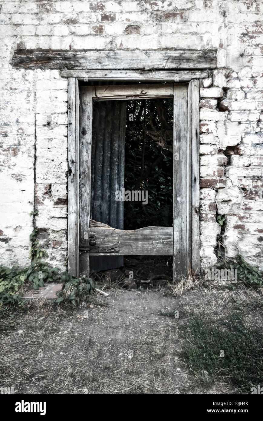 Une porte en bois cassée spooky dans un mur de briques en ruine Banque D'Images
