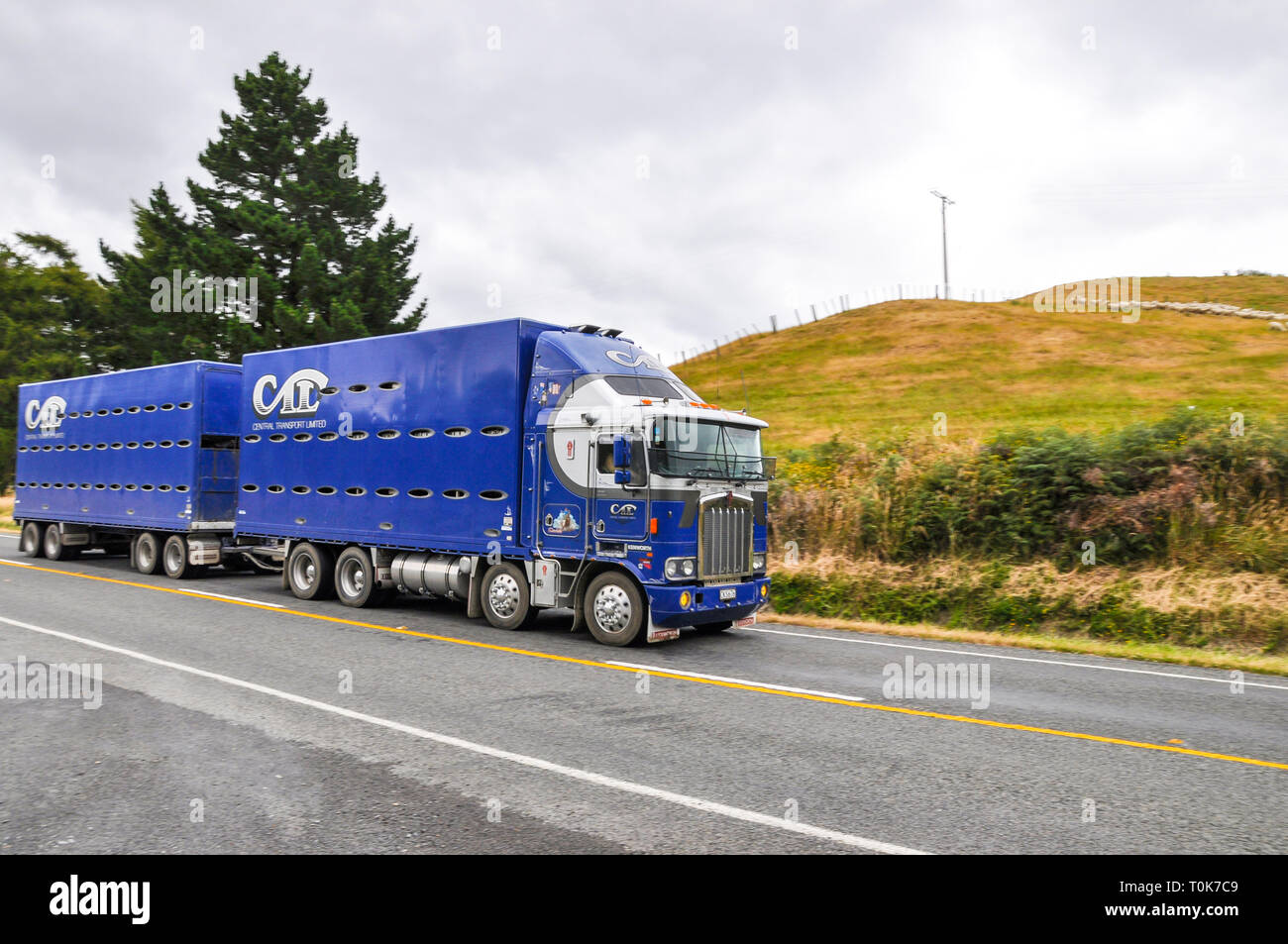 Le transport des camions et remorques de la conduite dans la région de Hawke's Bay en Nouvelle-Zélande. State Highway 5. SH5. Transport Ltd de Kenworth centrale Banque D'Images