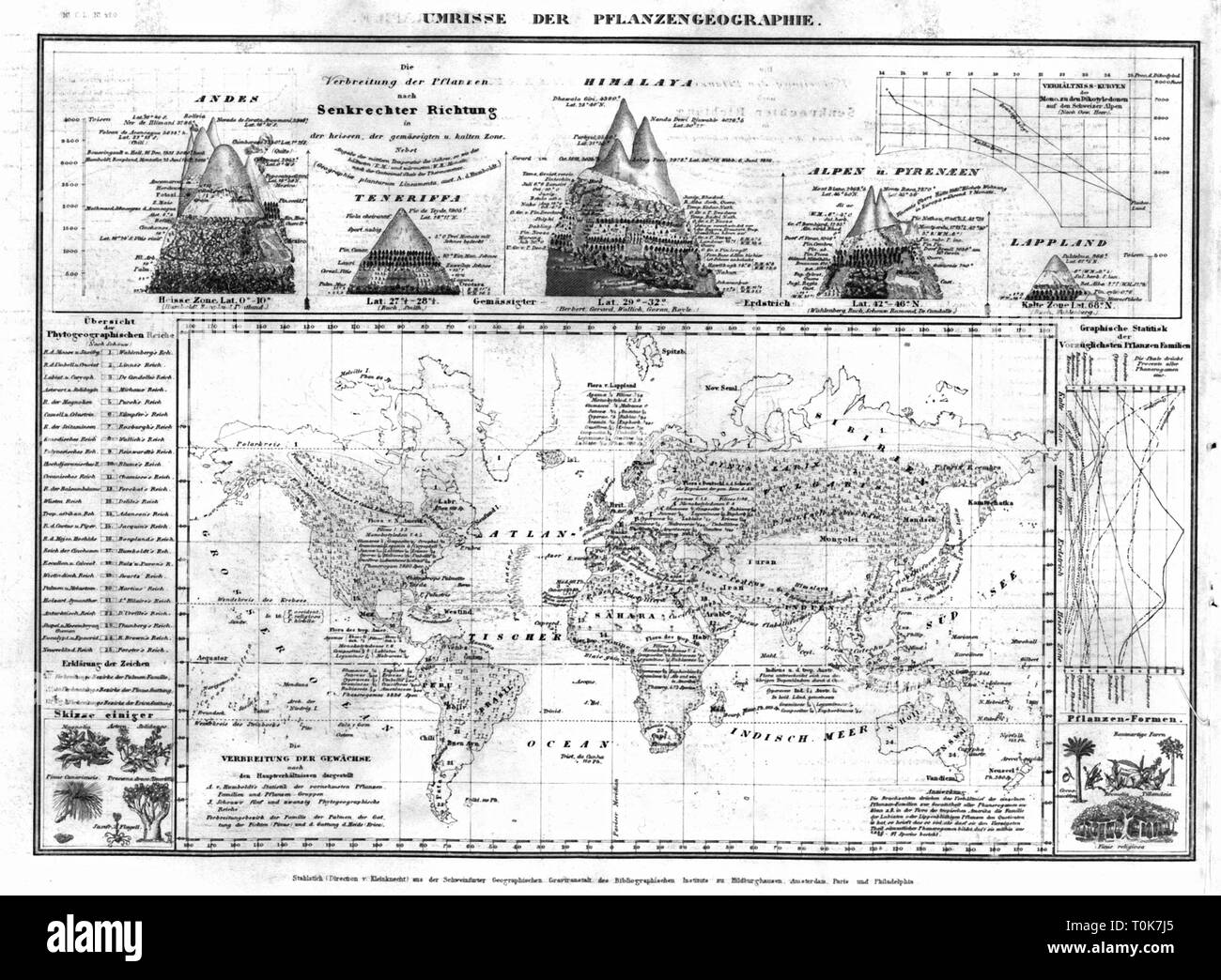 La cartographie, cartes botaniques, Joakim Schouw son aperçu de la divulgation des principales plantes cultivées, les arbres et arbustes en Europe, gravure sur acier, de l'institut bibliographique, 1ère moitié 19e siècle, la carte, botanique, 46, de la science, historique, historique, Additional-Rights Clearance-Info-Not-Available- Banque D'Images