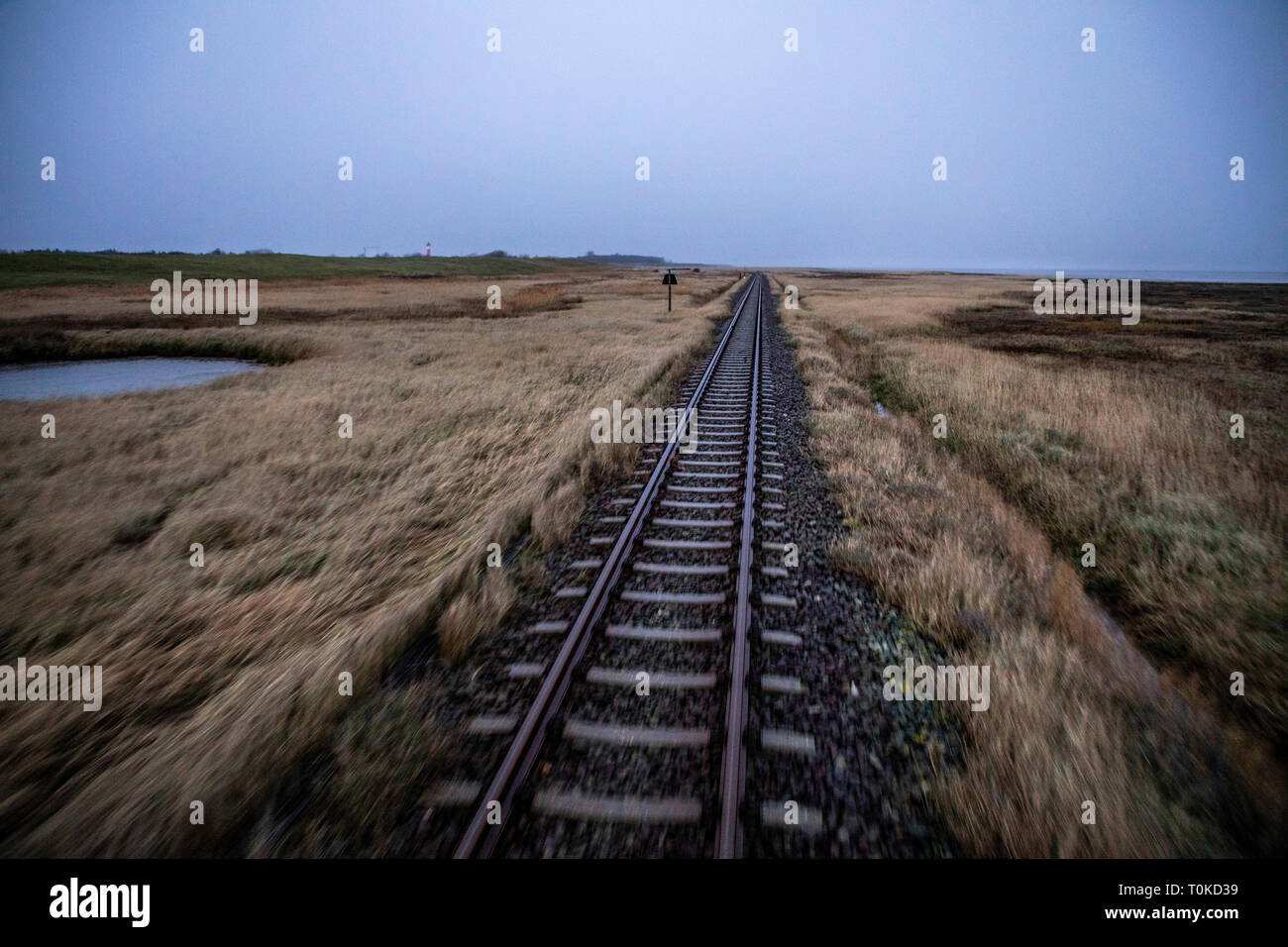 Insel Wangerooge, Ostfriesland, Island Railway, de l'embarcadère pour le village, paysage marais,Frise orientale, dans le Nord de l'Allemagne, Côte de la mer du Nord, Banque D'Images