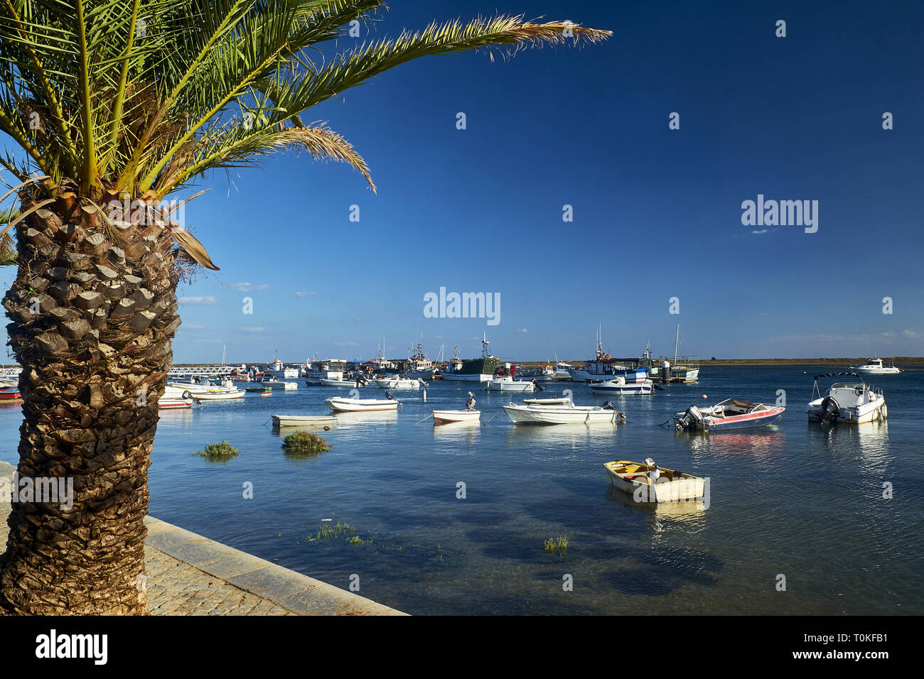 Les bateaux de pêche dans la région de Santa Luzia près de Tavira, Algarve, Portugal, Fraro Banque D'Images