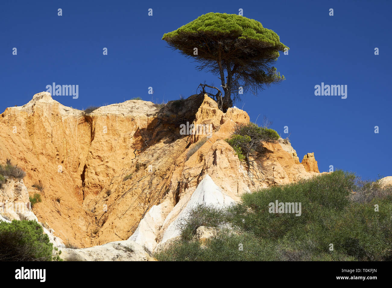 Praia da Falésia (Praia das Belharucas Barranco), Vilamoura, Quarteira, Faro, Algarve, Portugal Banque D'Images