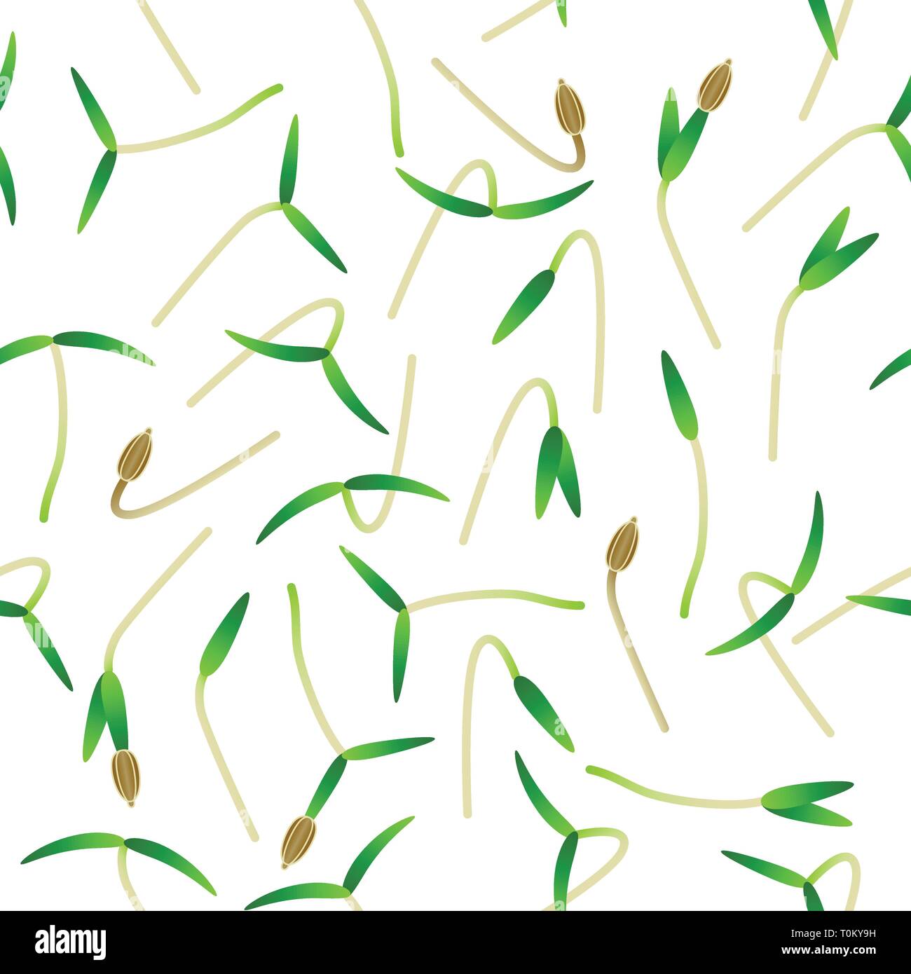 Microgreens carotte. La germination des graines d'une plante. Modèle sans couture. Isolé sur blanc. Supplément de vitamines, de nourriture vegan Illustration de Vecteur