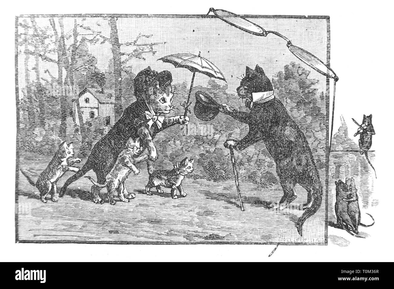 La famille de chat - Vintage Engraved Illustration, 1894 Banque D'Images