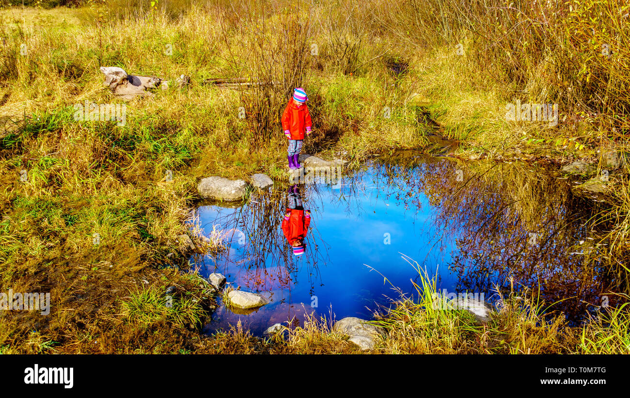 Petite fille à son reflet dans l'eau des zones humides du ruisseau Silverdale, un marais et tourbière près de Mission, en Colombie-Britannique, sur une belle journée d'automne Banque D'Images