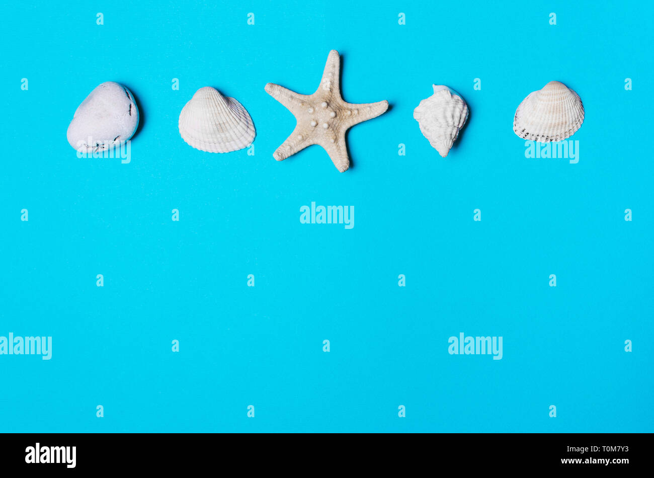 Shell, pebble, étoiles sur un fond bleu. La notion de repos, l'été Banque D'Images