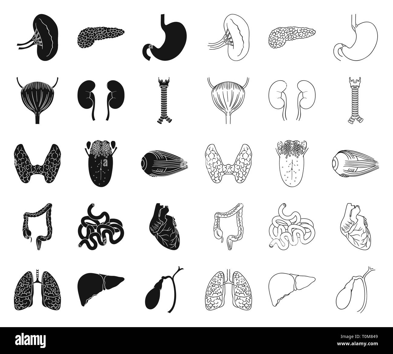 Anatomie,art,Black,contours,vessie,body,cerveau,collection,design,globe oculaire,fonction,vésicule,coeur,les droits de l'icône,maladie,,illustration,isolé,interne de l'intestin, rein reins,,grosses,logo,Foie Poumons,médecine,orgue,organes,,pancréas,partie,personne,set,signer,petit,symbole de l'estomac, la thyroïde,langue,,trachée,,urinaire,vecteur vecteur Vecteurs , web Illustration de Vecteur