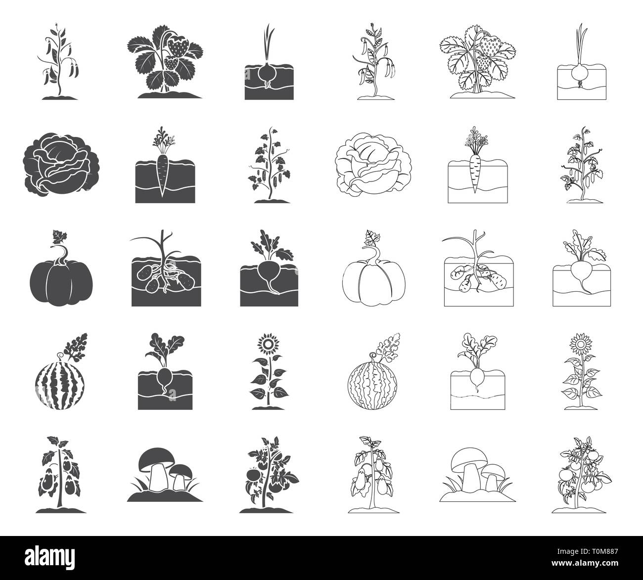 L'agriculture,Animaux,noir,betterave chou,plan,collection,carotte,maïs,concombre,Culture,design,ferme,aubergine,jardin,icône,récolte,illustration,logo,isolé,oignon,champignons,petits pois,plant de pomme de terre, potiron, radis,,root,set,signer,fraise,tournesol,tomate,symbole,légumes,web,pastèque,vecteurs vecteur, , Illustration de Vecteur