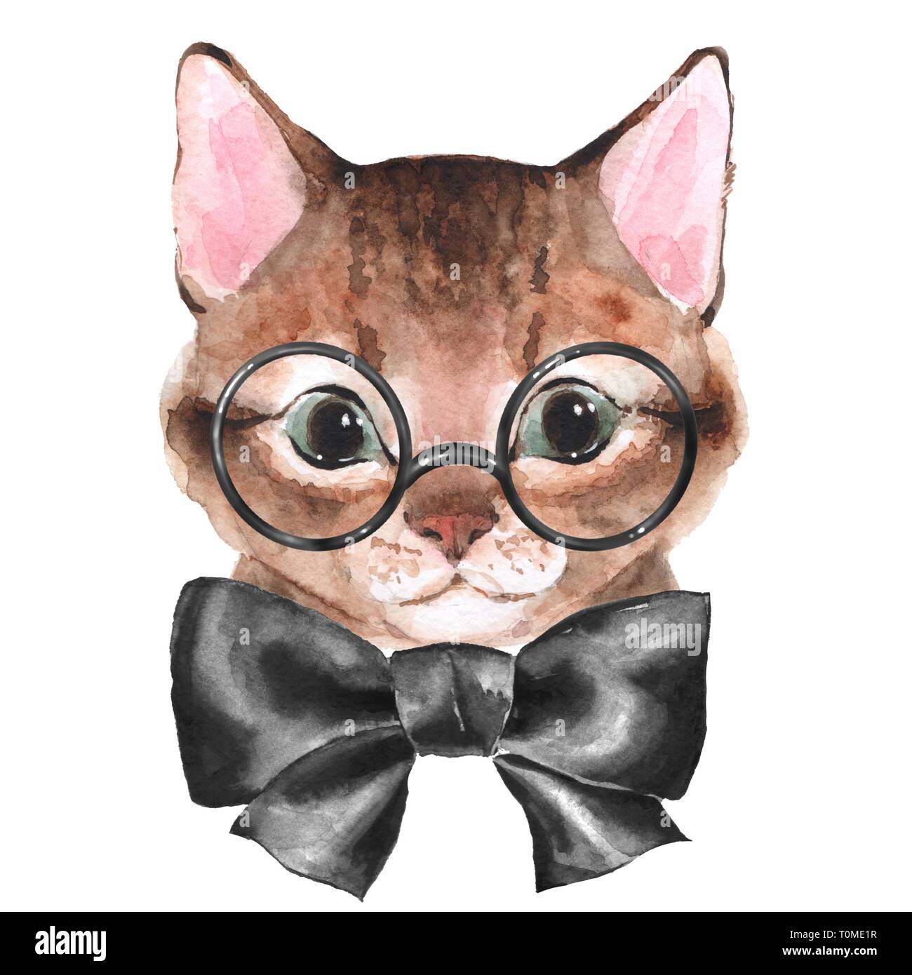 Chat Mignon Peinture Aquarelle Illustration Main Photo Stock Alamy Chat Mignon Peinture Aquarelle Illustration Main Photo Stock Alamy