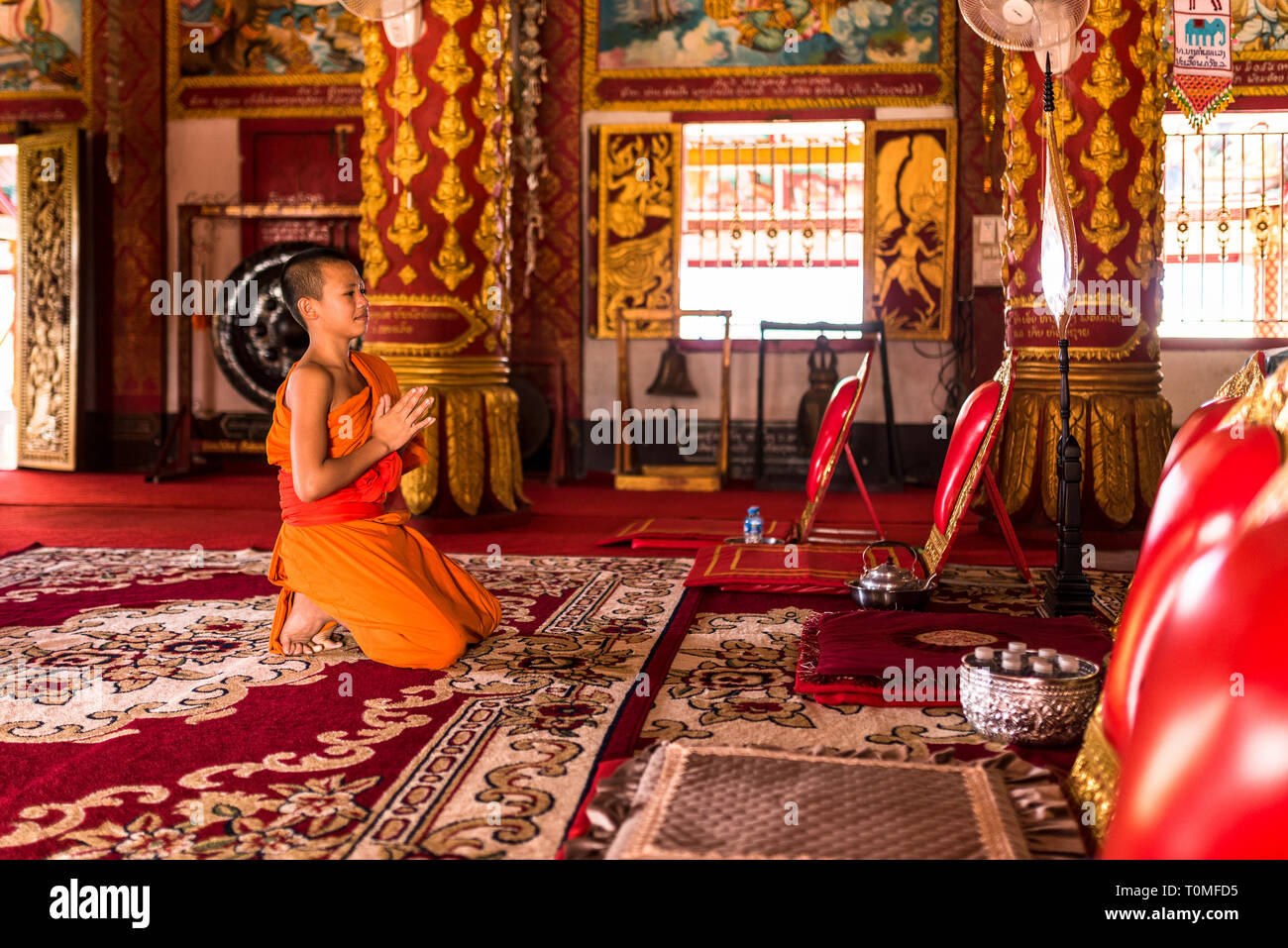 Jeune moine dans un temple, au Laos Banque D'Images