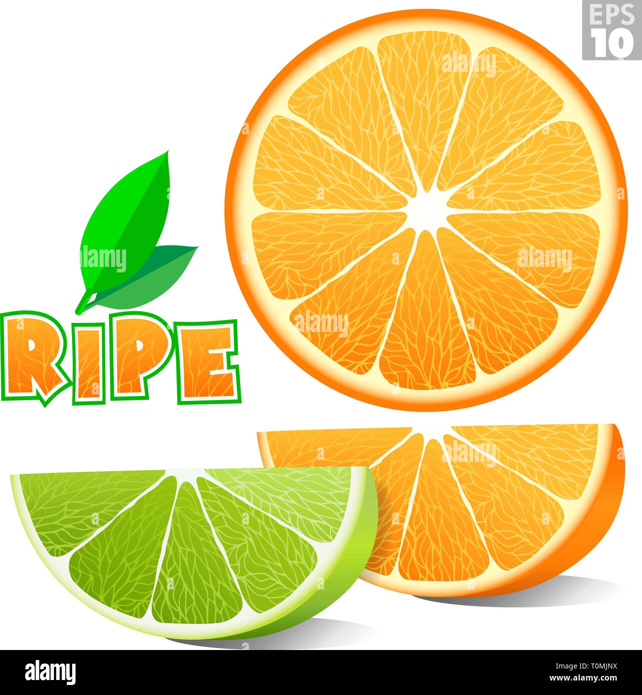 Les agrumes, dont une tranche d'orange, citron vert, mandarine et logo de l'étiquette ripe. Illustration de Vecteur