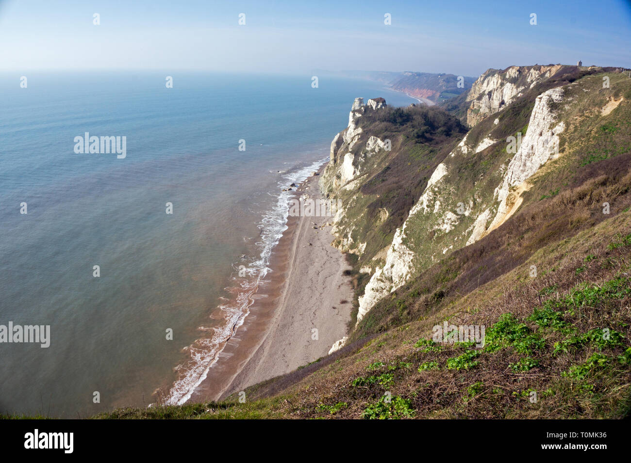 Vue panoramique sur les falaises de craie de la côte jurassique et la plage, la bière, la côte est du Devon, Angleterre Banque D'Images