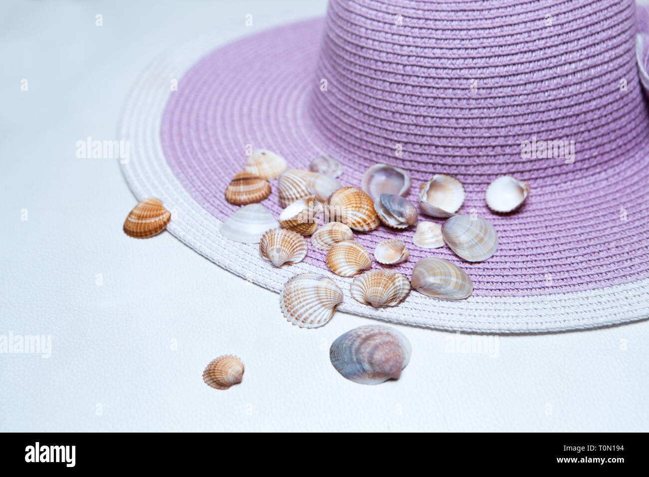 Beaux coquillages sur le jeûne de Beach Hat Banque D'Images