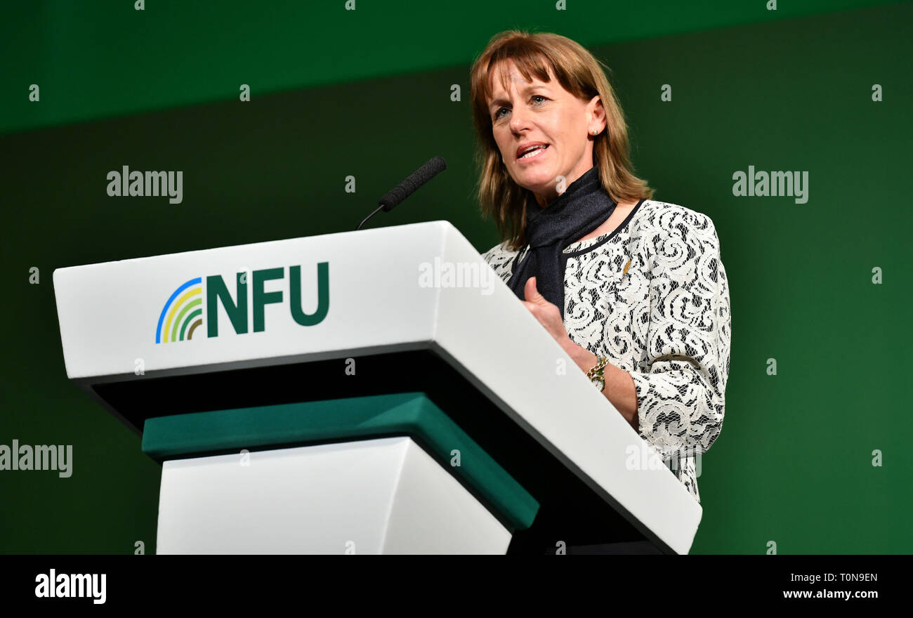 Minette Batters Président de la National Farmers Union (NFU) prenant la parole à la tribune au cours de la Conférence de l'UGN à Birmingham en février 2019. Banque D'Images