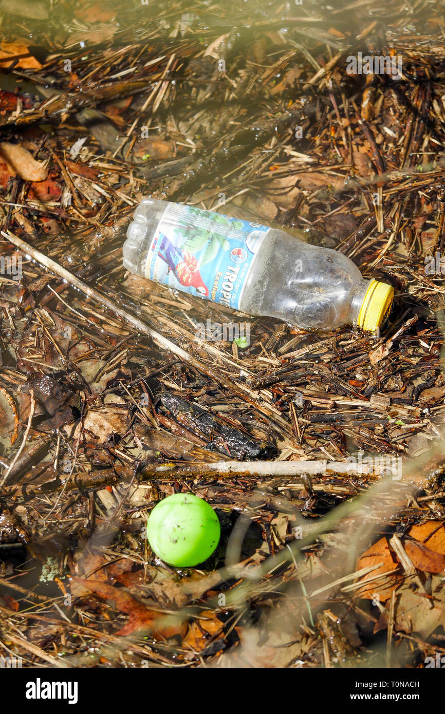 Bouteille en plastique flottant sur les eaux de la rivière Saône, Fontaine-sur Saône, France Banque D'Images