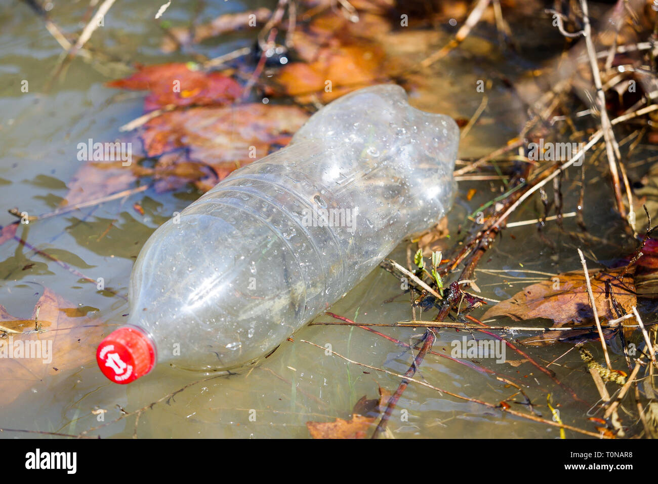 Bouteille en plastique flottant sur les eaux de la rivière Saône, Fontaine-sur Saône, France Banque D'Images