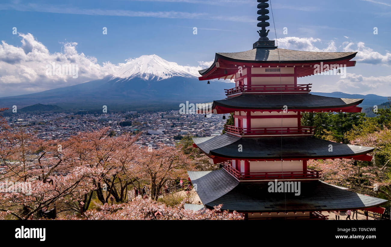 Explosion de couleurs pendant la saison des cerisiers en fleur au Japon contre le Mont Fuji couvertes de neige sur une journée ensoleillée et ciel bleu Banque D'Images