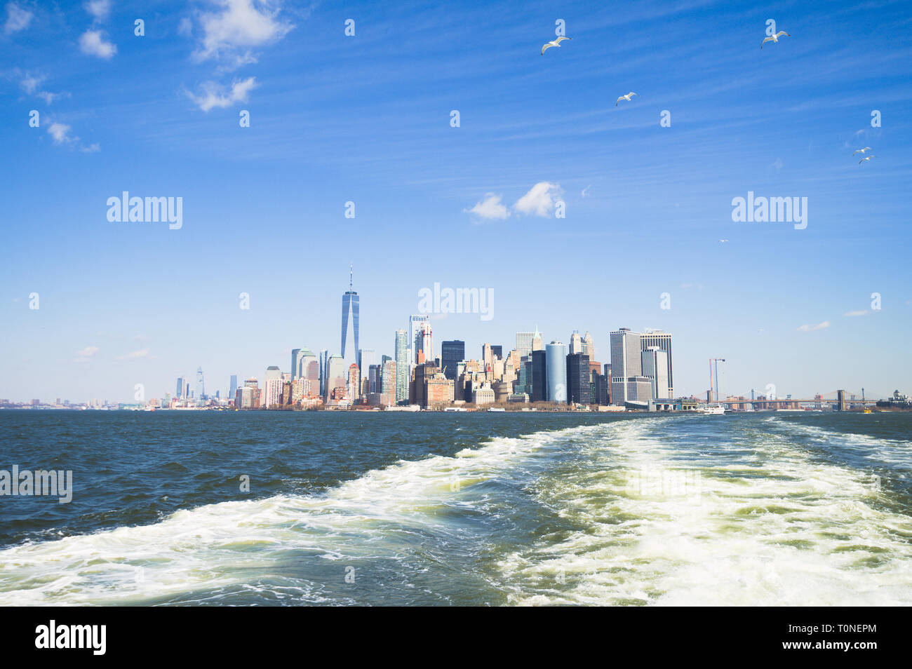 Manhattan vu de la liberté d'utiliser Staten Island Ferry, avec un troupeau de mouettes qui suit. Banque D'Images