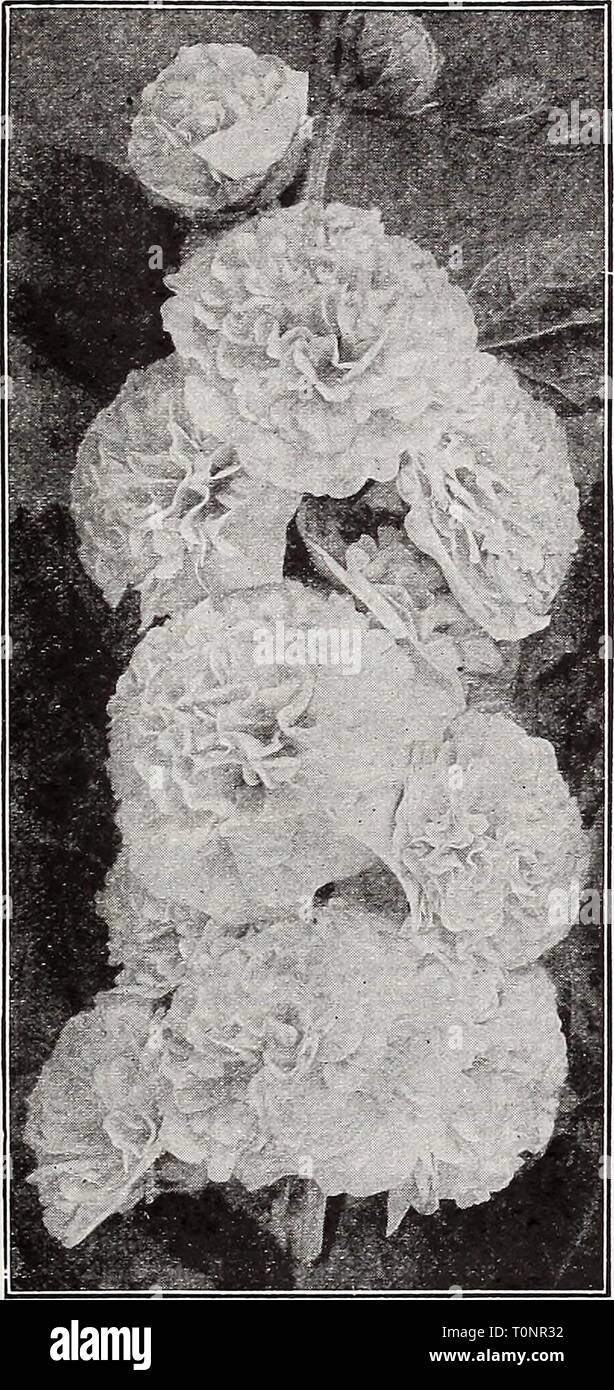 Catalogue automne 1932 l'Dreer (1932) Banque D'Images