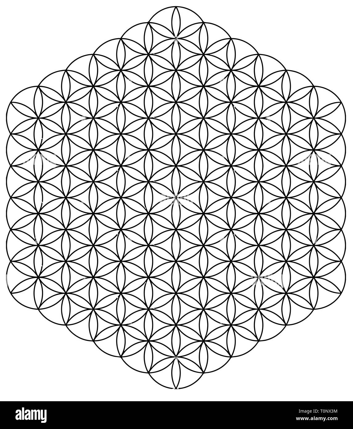 La symétrie hexagonale des cercles ésotériques sacré illustration Banque D'Images