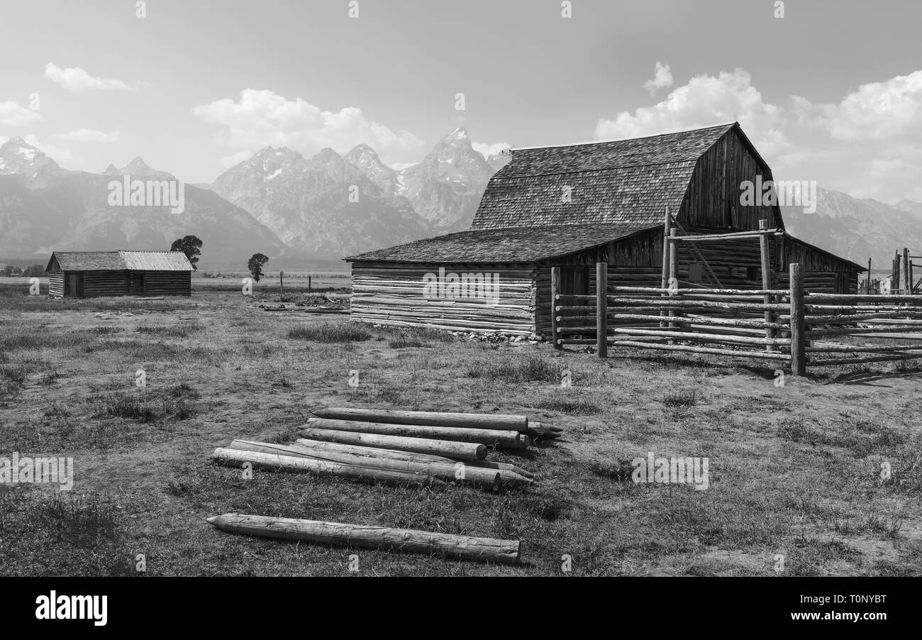 Début Mormon homestead, désormais abandonnée, au milieu de la prairie, il est entouré par les Tetons à Mormon Row, près de Jackson, Wyoming, USA. Banque D'Images