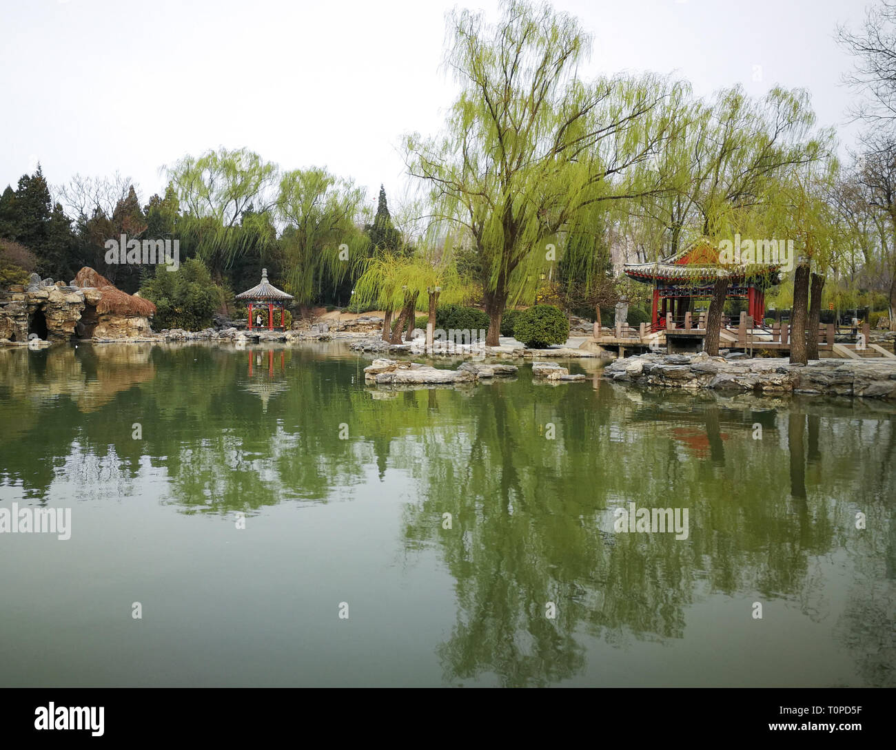 (190321) -- BEIJING, 21 mars 2019 (Xinhua) -- Photo prise avec un téléphone mobile présente le Paysage de printemps au parc Ritan à Beijing, capitale de Chine, le 19 mars 2019. (Xinhua/Meng Chenguang) Banque D'Images